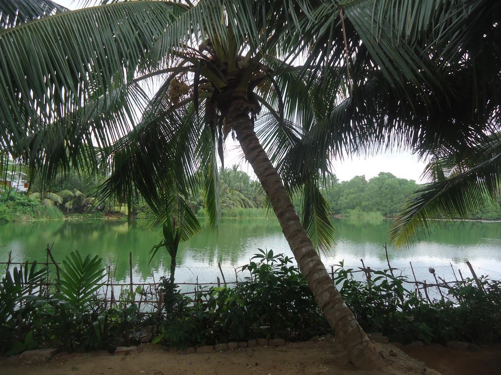 Lake View Cabana Paradise & Villa Tangalle Luaran gambar